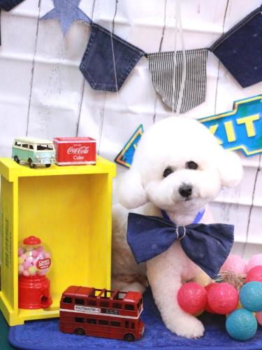 20230401ププくん